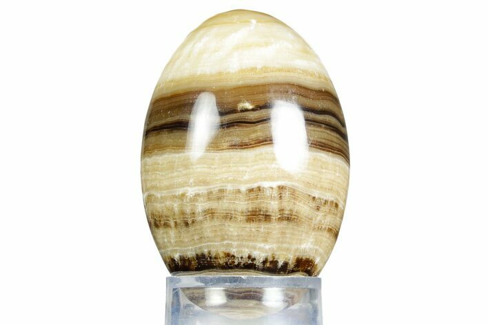 Swirling Polished Chocolate Calcite Egg - Pakistan #350178